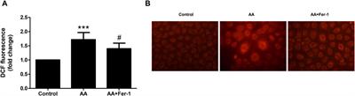 Aristolochic acid induces acute kidney injury through ferroptosis